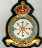 93 SQN CREST KC GOLD WIRE BADGE