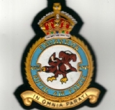 24 SQN CREST KC GOLD WIRE BADGE