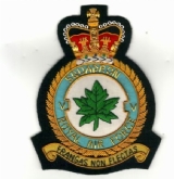 5 SQN CREST GOLD WIRE BADGE