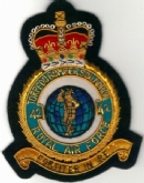 42 SQN CREST GOLD WIRE BADGE