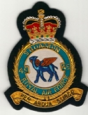 45 SQN CREST GOLD WIRE BADGE