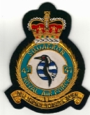47 SQN CREST GOLD WIRE BADGE