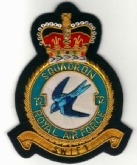 72 SQN CREST GOLD WIRE BADGE
