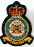 111 SQN  CREST GOLD WIRE BADGE