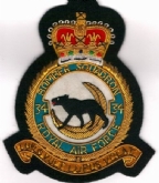 34 B) SQN CREST GOLD WIRE BADGE