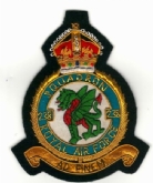 238 SQN CREST GOLD WIRE BADGE