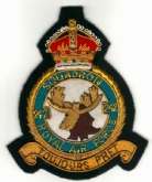 242 SQN CREST GOLD WIRE BADGE