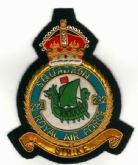 232 SQN CREST GOLD WIRE BADGE