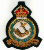 253 SQN CREST GOLD WIRE BADGE
