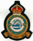 284 SQN CREST GOLD WIRE BADGE