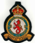 243 SQN CREST GOLD WIRE BADGE