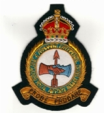 A&AEE GOLD WIRE BADGE