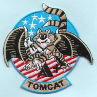 F-14 TOMCAT A+ (WINGED)