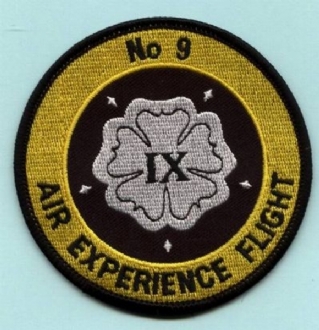 9 AEF ROUND EMBROIDERED BADGE