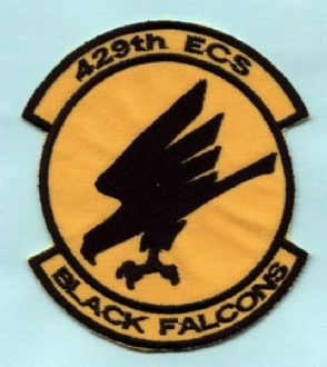 429TH ECS BADGE