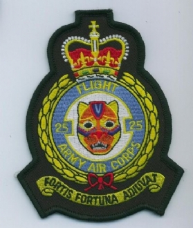 25 FLIGHT AAC CREST