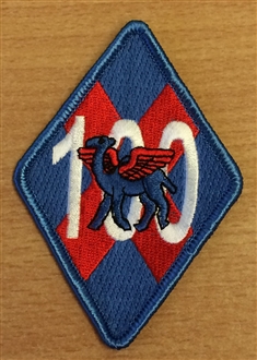 45 SQN 100 ANNIVERSARY BADGE