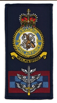 206 SQN CREST FACS BADGE