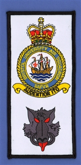 BRISTOL UAS/HOGS HEAD FACS BADGE