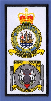 BRISTOL UAS 69 COURSE FACS BADGE