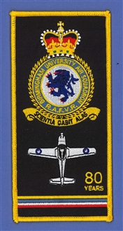 BIRMINGHAM UAS FACS BADGE