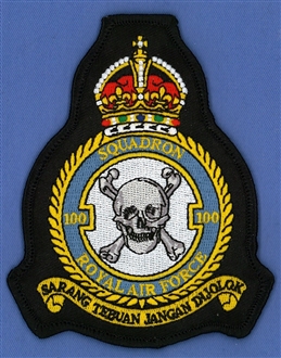 100 SQN CREST - TUDOR CROWN