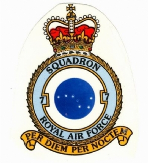 7 SQN CREST WHITE COFFEE MUG