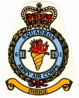 651 SQN AAC CREST WHITE COFFEE MUG