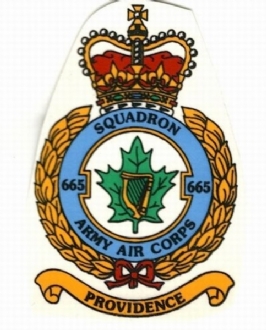 665 SQN AAC CREST WHITE COFFEE MUG