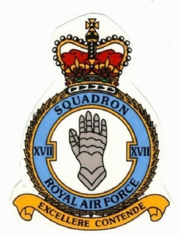 17 SQN CREST WHITE COFFEE MUG