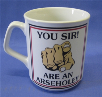 YOU SIR! ARE AN AR****LE MUG