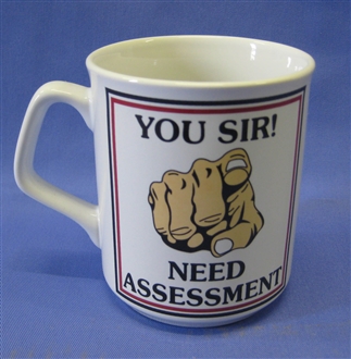 YOU SIR! NEED ASSESSMENT MUG