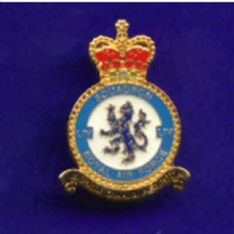 54 SQN CREST PIN BADGE