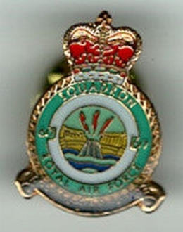 617 SQN CREST PIN BADGE