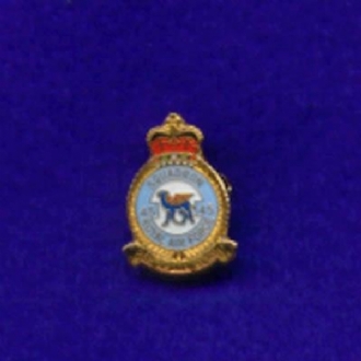 45 SQN CREST PIN BADGE