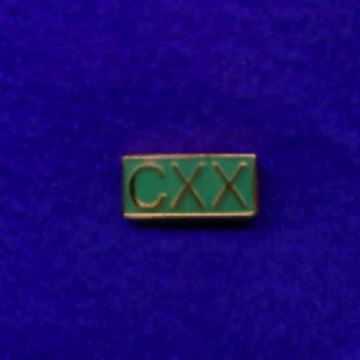 120 SQN PIN BADGE