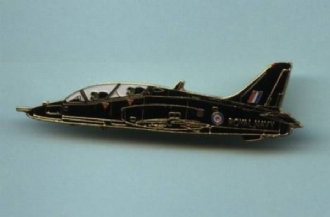 RN HAWK PIN BADGE