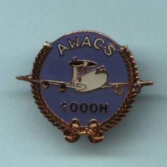 AWACS 1000 HRS PIN BADGE