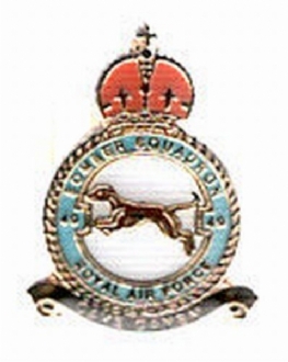 49 SQN PIN BADGE