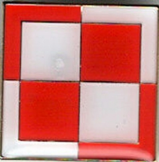 POLISH CHECKERBOARD PIN BADGE