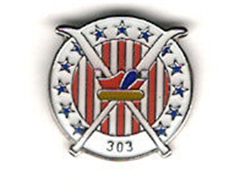 303 SQN POLISH AIR FORCE PIN BADGE