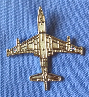 NIMROD - PLAN VIEW (SILVER) PIN