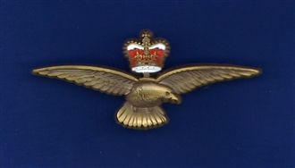 RAF EAGLE AND CROWN PIN
