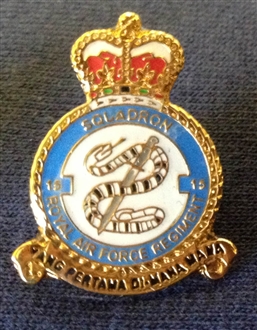 15 SQN RAF REGIMENT CREST PIN