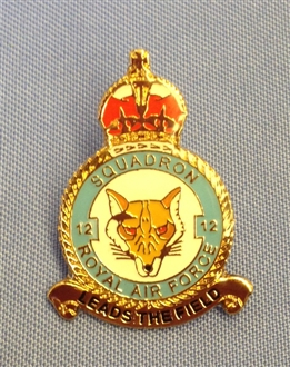 RAF Pin Badge 204 Squadron 