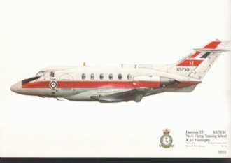 44 DOMINIE T 1 SQN PRINT