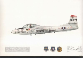 113 T37B TWEET SQN PRINT