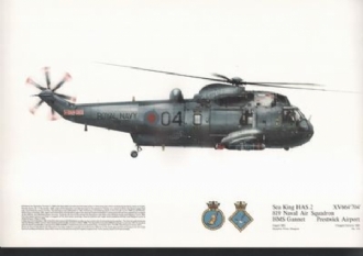 119 SEAKING HAS 2 SQN PRINT