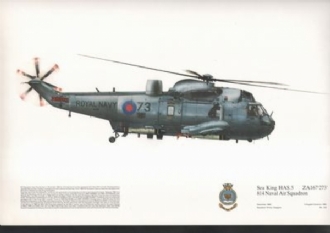 124 SEAKING HAS 5 SQN PRINT