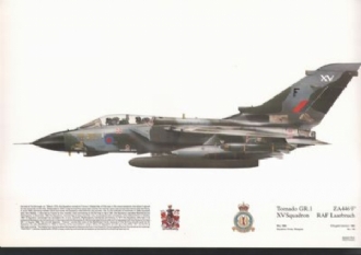 128 TORNADO GR 1 SQN PRINT